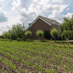 De Nieuwe Warande Bed & Breakfast Tilburg Exterior photo