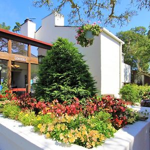 Lobos Lodge Carmel-by-the-Sea Exterior photo