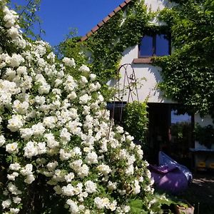 Chambre D'Hotes De Charme, Un Temps En Foret Bed & Breakfast Westhouse Exterior photo