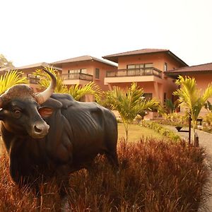 The Pench International Hotel Khawasa Exterior photo