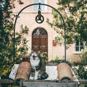 B&B Ca' Paiardo Sant'Angelo in Vado Exterior photo