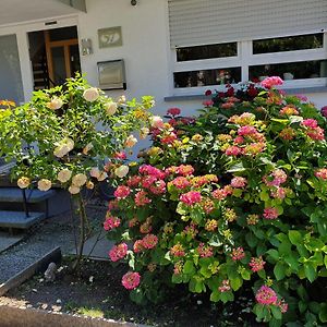 Gaestehaus Eissler Apartment Helmsheim Exterior photo