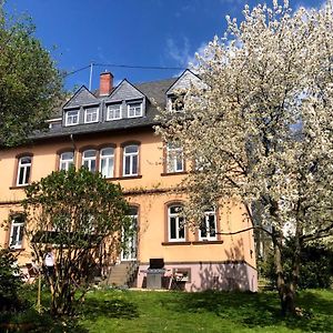 Altes Pfarrhaus Gondershausen Apartment Exterior photo