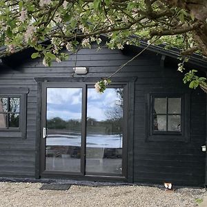 The Cosy Cabin By The Shore Apartment Galway Exterior photo