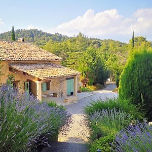 Le Jas Des Cannebieres Bed & Breakfast Villeneuve  Exterior photo