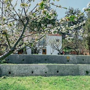 Milea Mansion Villa Limassol Exterior photo