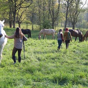 Domaine Des Pierres Jumelles-Balade A Cheval-Chambre D'Hotes Mayenne Bed & Breakfast Sainte-Gemmes-le-Robert Exterior photo