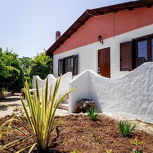 Casa Vacanze - Residenza San Luca Villa Muro Lucano Exterior photo