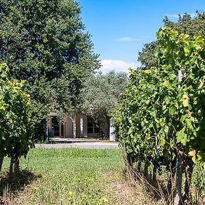 Au Detour Des Vignes Bed & Breakfast Ordonnac Exterior photo