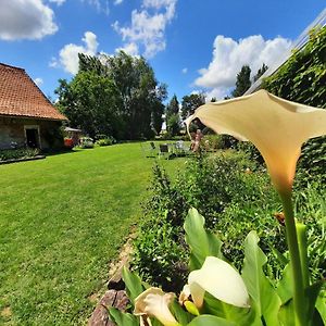 La Flandre Entre Plaine, Mer Et Marais Bed & Breakfast Rubrouck Exterior photo