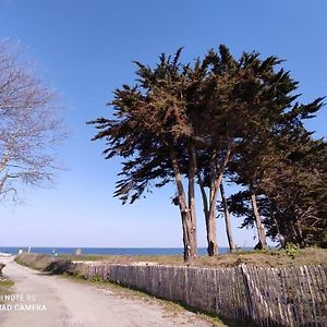 Logement En Rdc Port Haliguen Apartment Quiberon Exterior photo