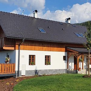 Penzion Stribrnik Aparthotel Krasna  Exterior photo