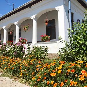 Heni Vendeghaza Hotel Vadna Exterior photo