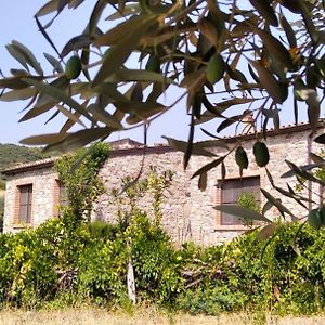 Tenuta Rara Avis Villa Rocca Imperiale Exterior photo