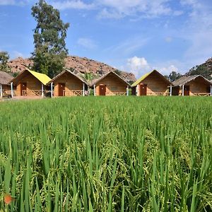 Dream Mango Hampi Hotel Exterior photo