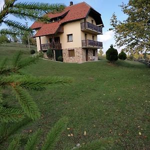 Vila Milija Apartment Bajina Basta Exterior photo