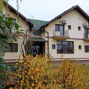 Pensiunea Lunca Hotel Arad Exterior photo