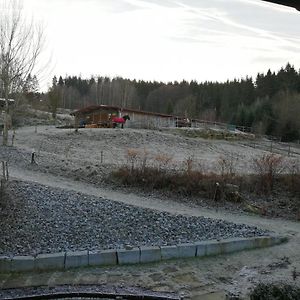 Appartmenthaus Kern Aigen im Muehlkreis Exterior photo