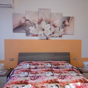 Quo Vadis Qui Vieni Bed & Breakfast Rovigo Exterior photo