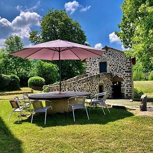 Domaine De La Planche De Melussac Bed & Breakfast Cussac-sur-Loire Exterior photo