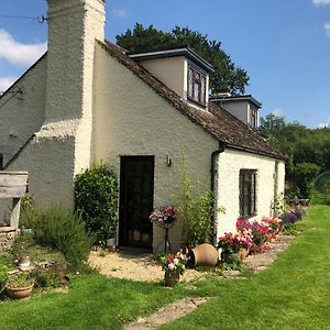 Chaseborough Farm Bed & Breakfast Wimborne Minster Exterior photo