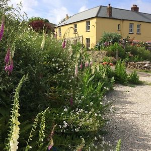 Frizenham Farmhouse Bed & Breakfast Little Torrington Exterior photo