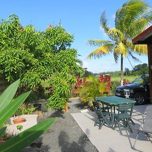 Bungalow Des Paletuviers Villa Morne-a-l'Eau Exterior photo