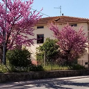 Bedandbiking Bed & Breakfast Cortona Exterior photo