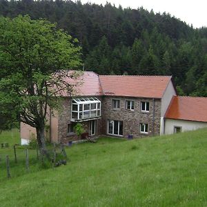 Gite Hansel De La Ferme Du Schneeberg Villa Wangenbourg-Engenthal Exterior photo