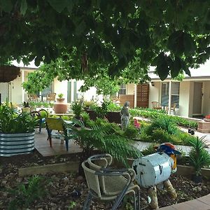 Hahndorf Oak Tree Cottages Room photo