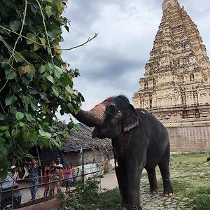 Temple View Guest House Hampi Exterior photo