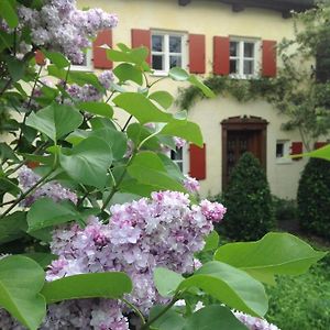 Haus Probst Am See Bed & Breakfast Schondorf am Ammersee Exterior photo