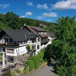 Landidyll Landhaus Liesetal Hotel Hallenberg Exterior photo