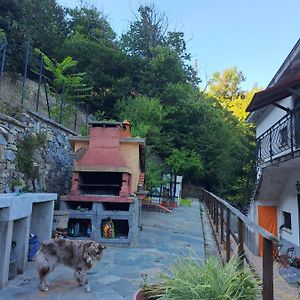 The Giaggiolo'S House Apartment Serra Ricco Exterior photo