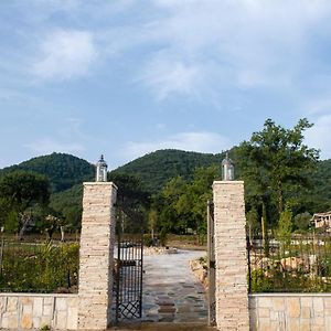 Green Village San Giorgio a Liri Exterior photo