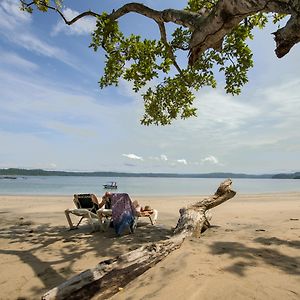 Occidental Papagayo (Adults Only) Hotel Playa Hermosa  Exterior photo