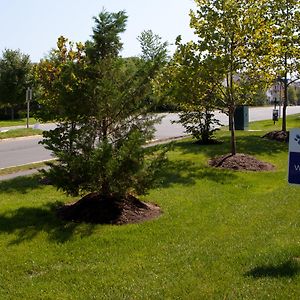 Candlewood Suites Washington-Dulles Herndon, An Ihg Hotel Exterior photo