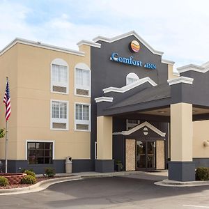 Comfort Inn Decatur Priceville Exterior photo