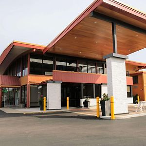 Quality Inn O'Hare Airport Schiller Park Exterior photo