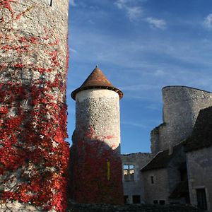 Chateau D'Ingrandes Bed & Breakfast Ingrandes  Exterior photo