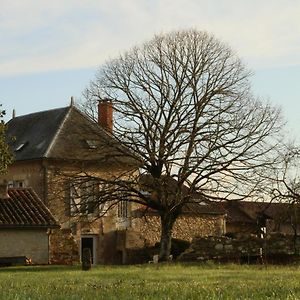 Logis Des Brousses Bed & Breakfast Lhommaize Exterior photo