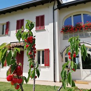 La Mafalda In Oltrepo Bed & Breakfast Codevilla Exterior photo