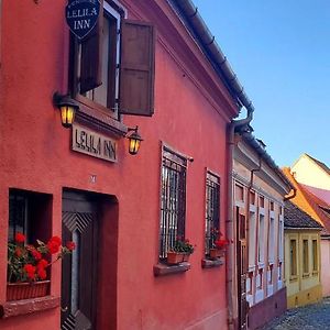 Pensiunea Lelila Inn Sighisoara Exterior photo