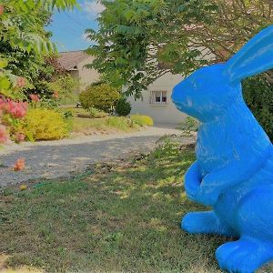 Gite Du Lapin Bleu Villa Coole Exterior photo