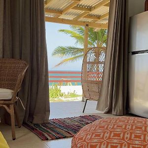 Casita Del Mar Oceanfront Romantic Retreat In Islote Apartment Arecibo Exterior photo