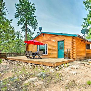 Red Feather Lakes Cabin With Wraparound Deck! Villa Exterior photo