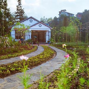 Thanh Truc Villa & Flower Sa Pa Exterior photo