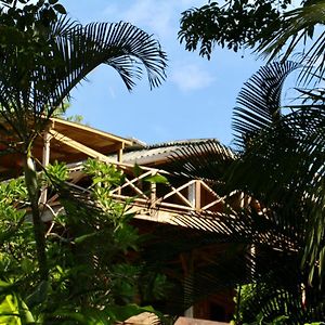 Eden Jungle Lodge Bocas del Toro Exterior photo