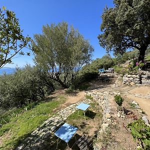 Casa Musicale Hotel Pigna Exterior photo