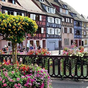 Colmar,Appart Chaleureux 2 Pas Centre Avec Jardin Apartment Exterior photo